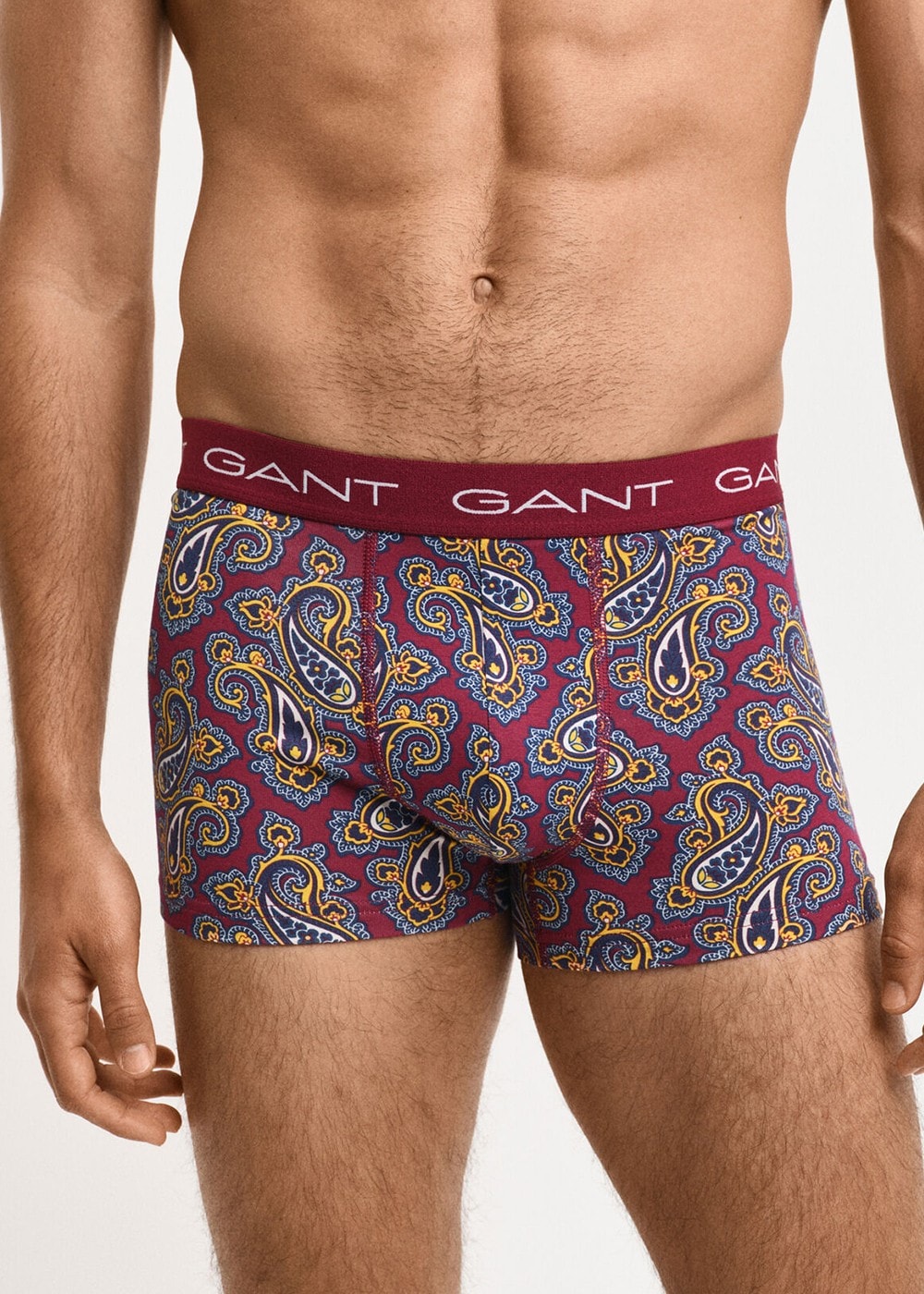 Paisley Print Trunks 3-Pack - Rich Wine - 1