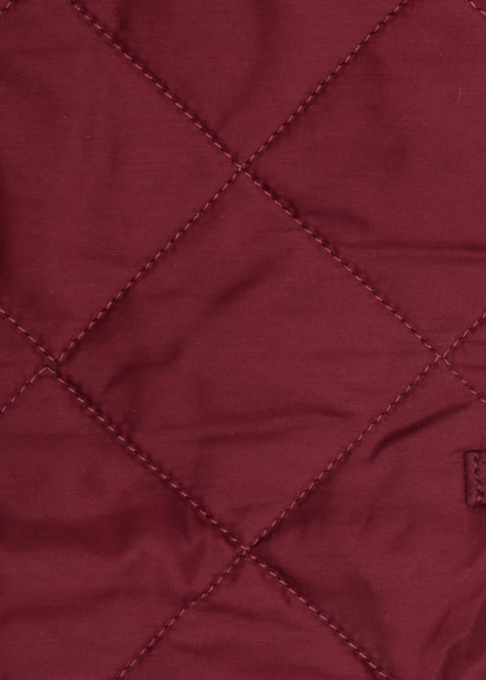 Quilted Dog Coat