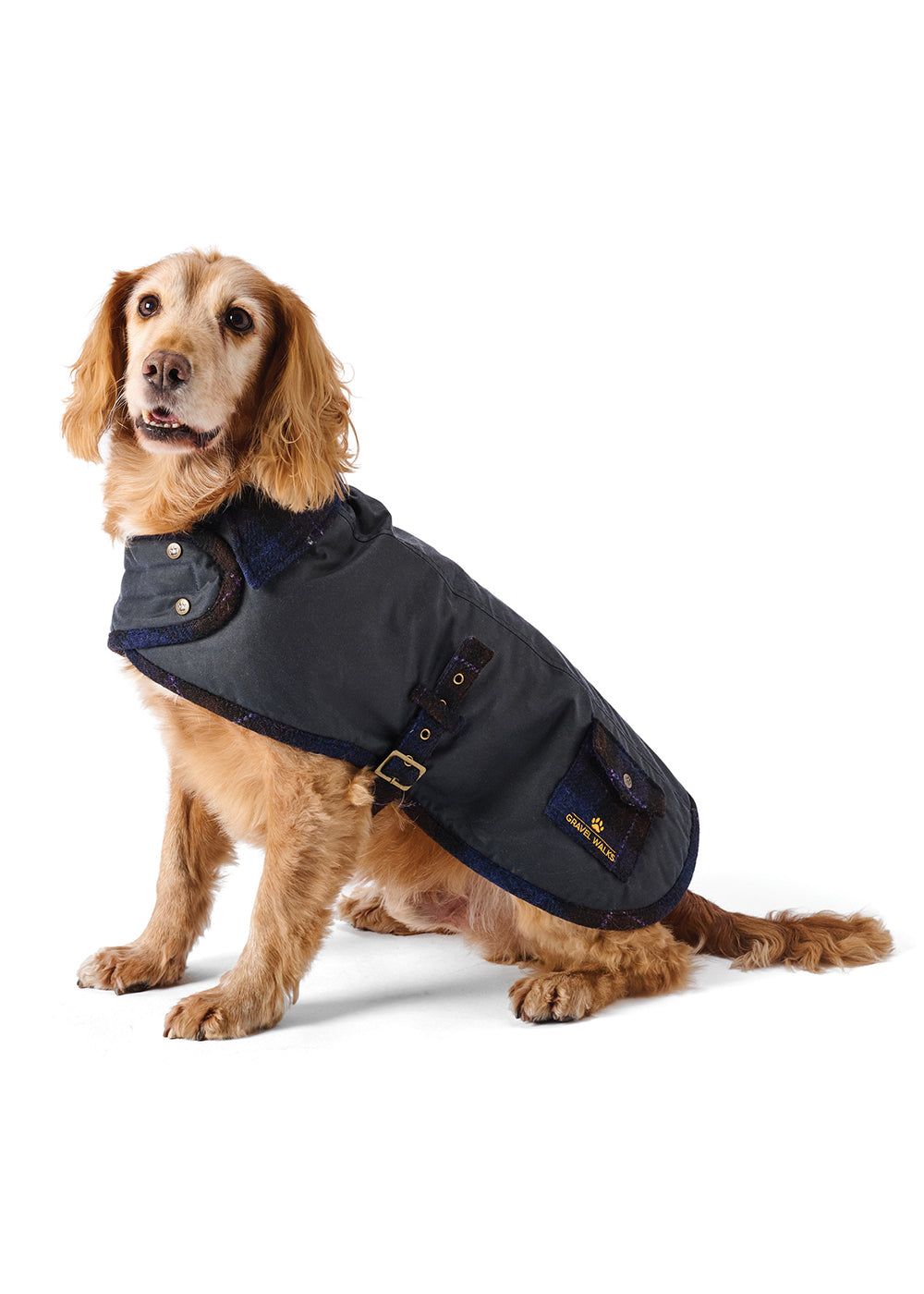 Buddy Dog Coat