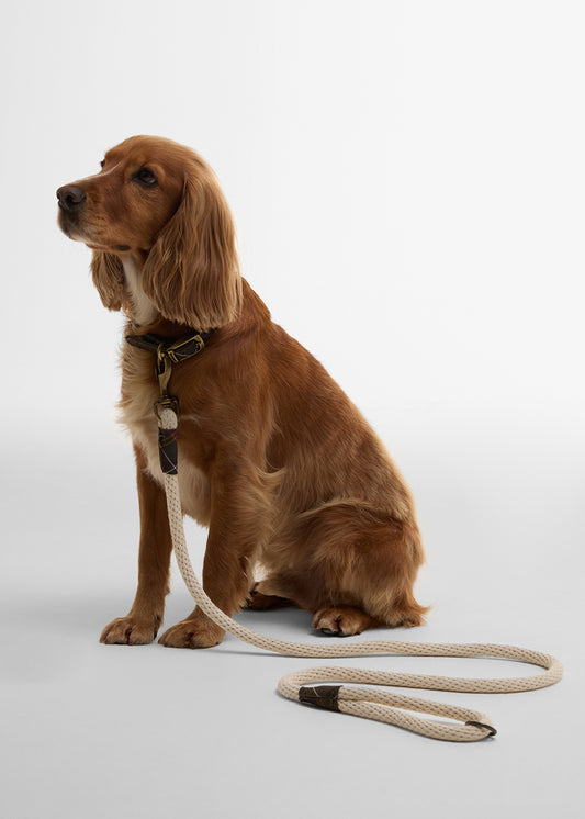 Cotton Rope Dog Lead