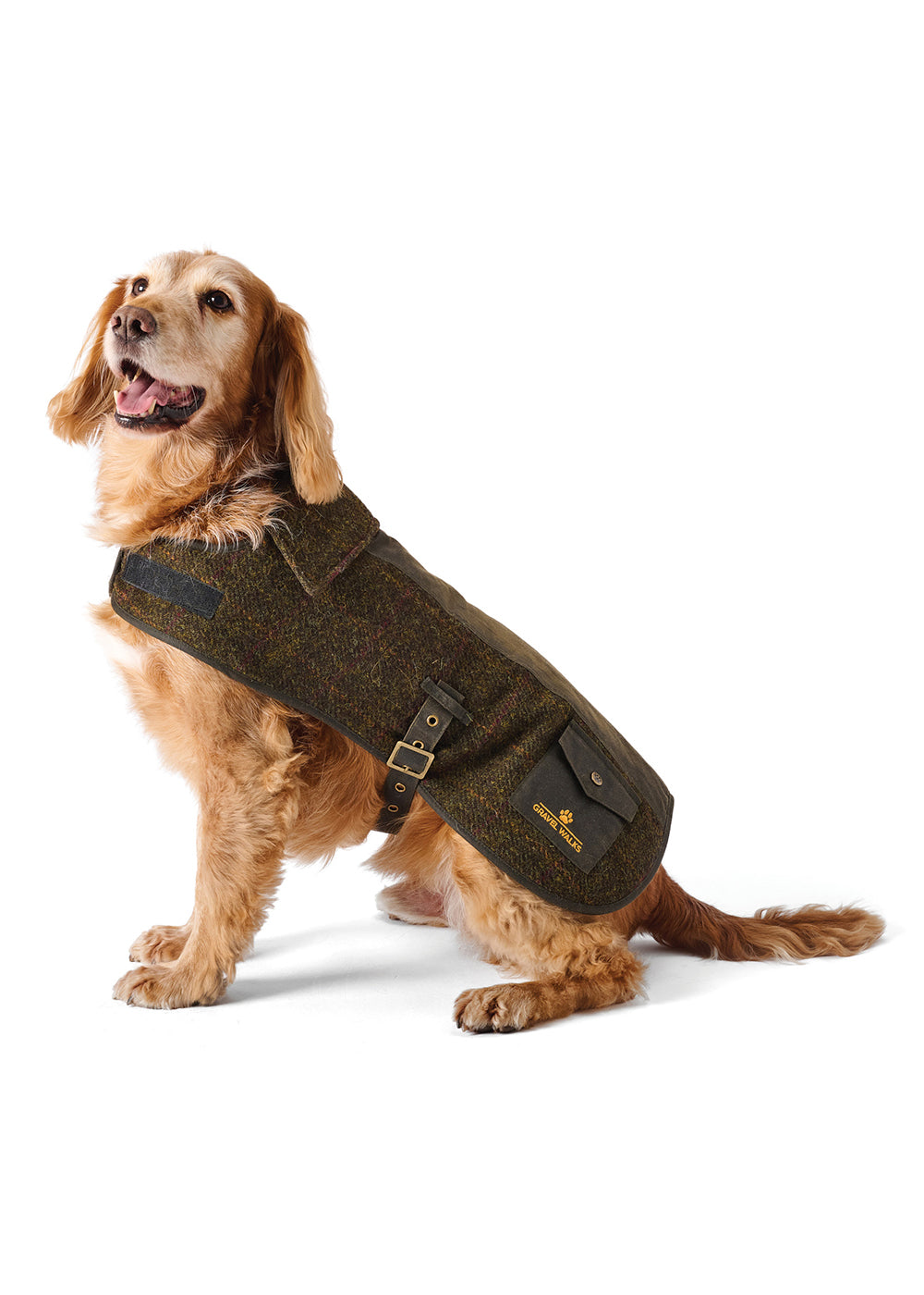 Hector Dog Coat