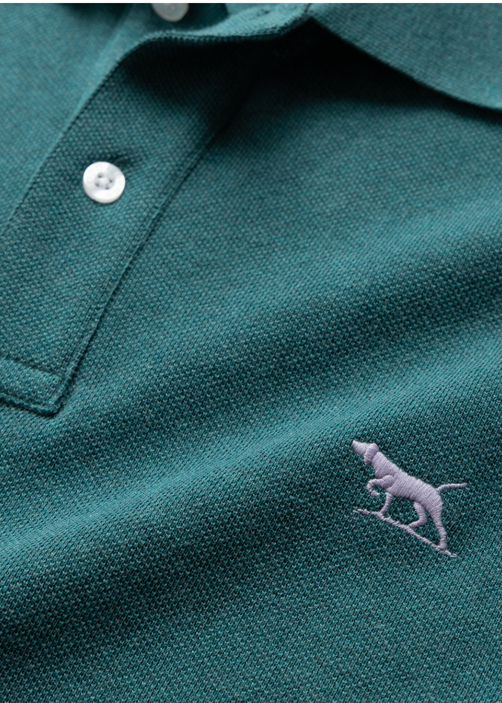 Gunn Polo