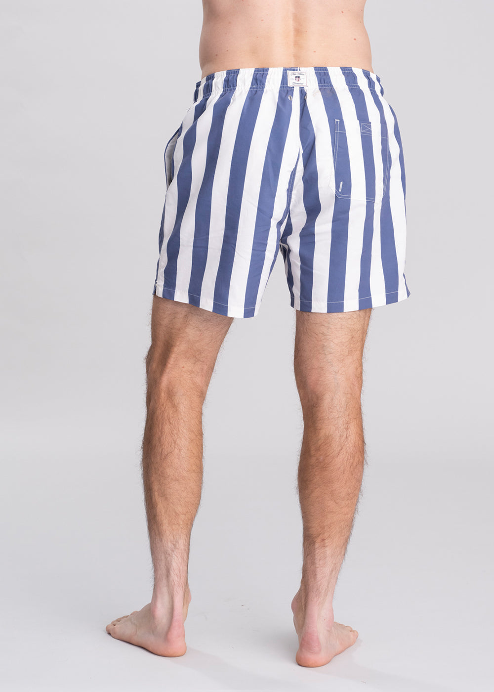 Block Print Stripe Swim Shorts