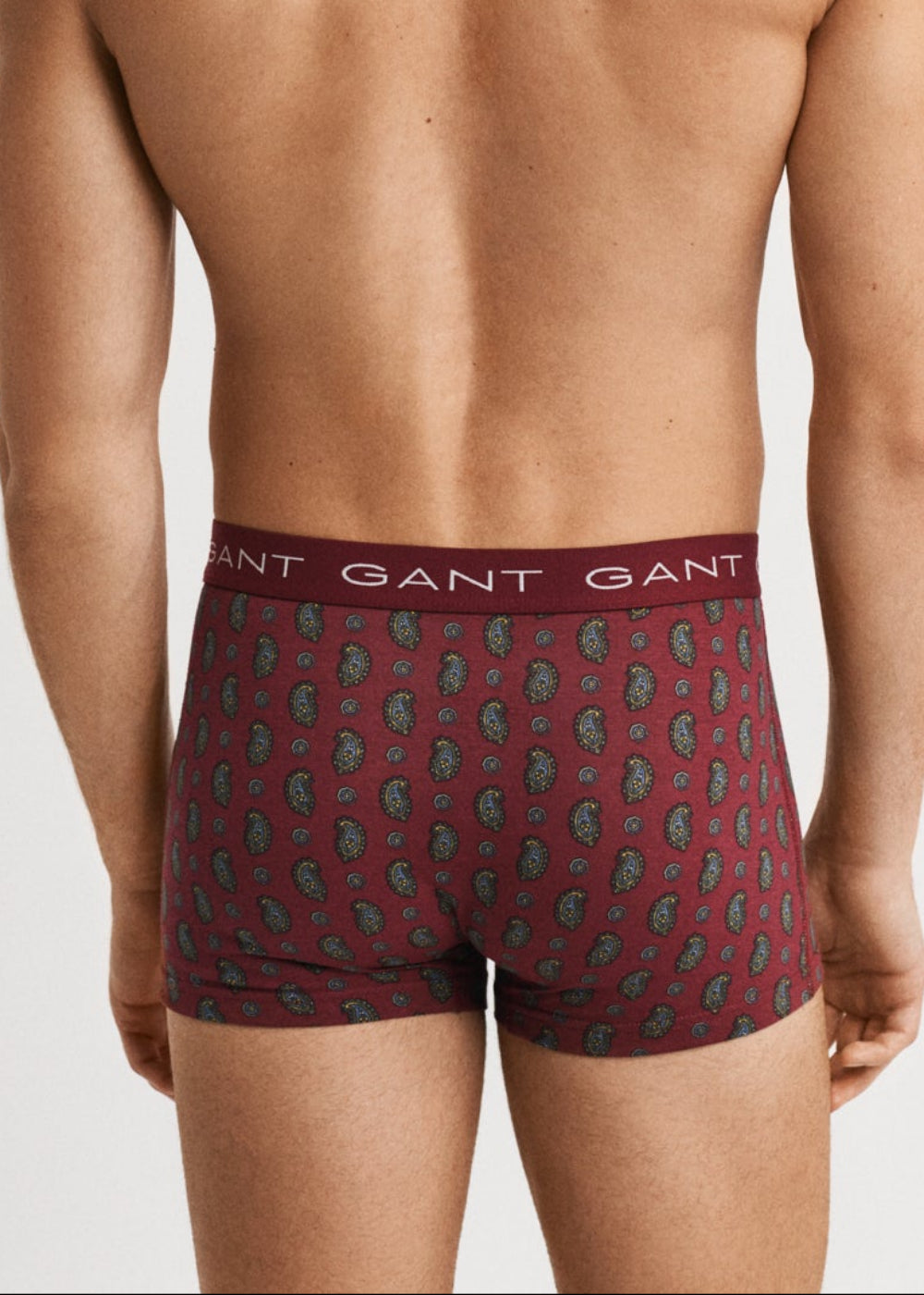 Paisley Print Trunks (3 Pack)