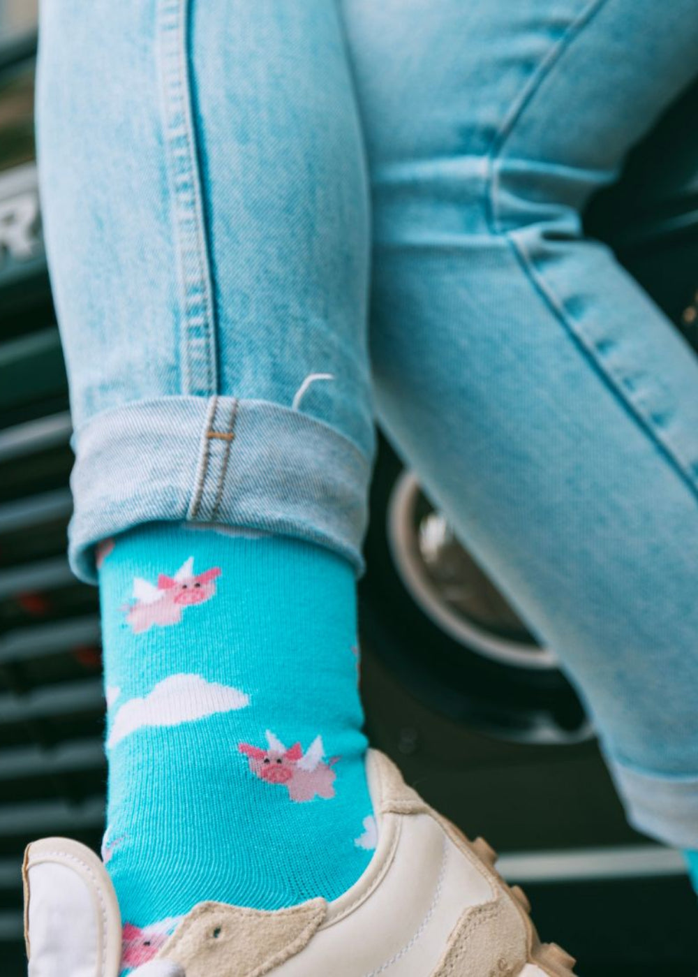 Flying Pig Bamboo Socks