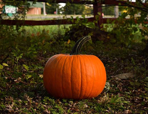 The Origins of Guising and Halloween Traditions