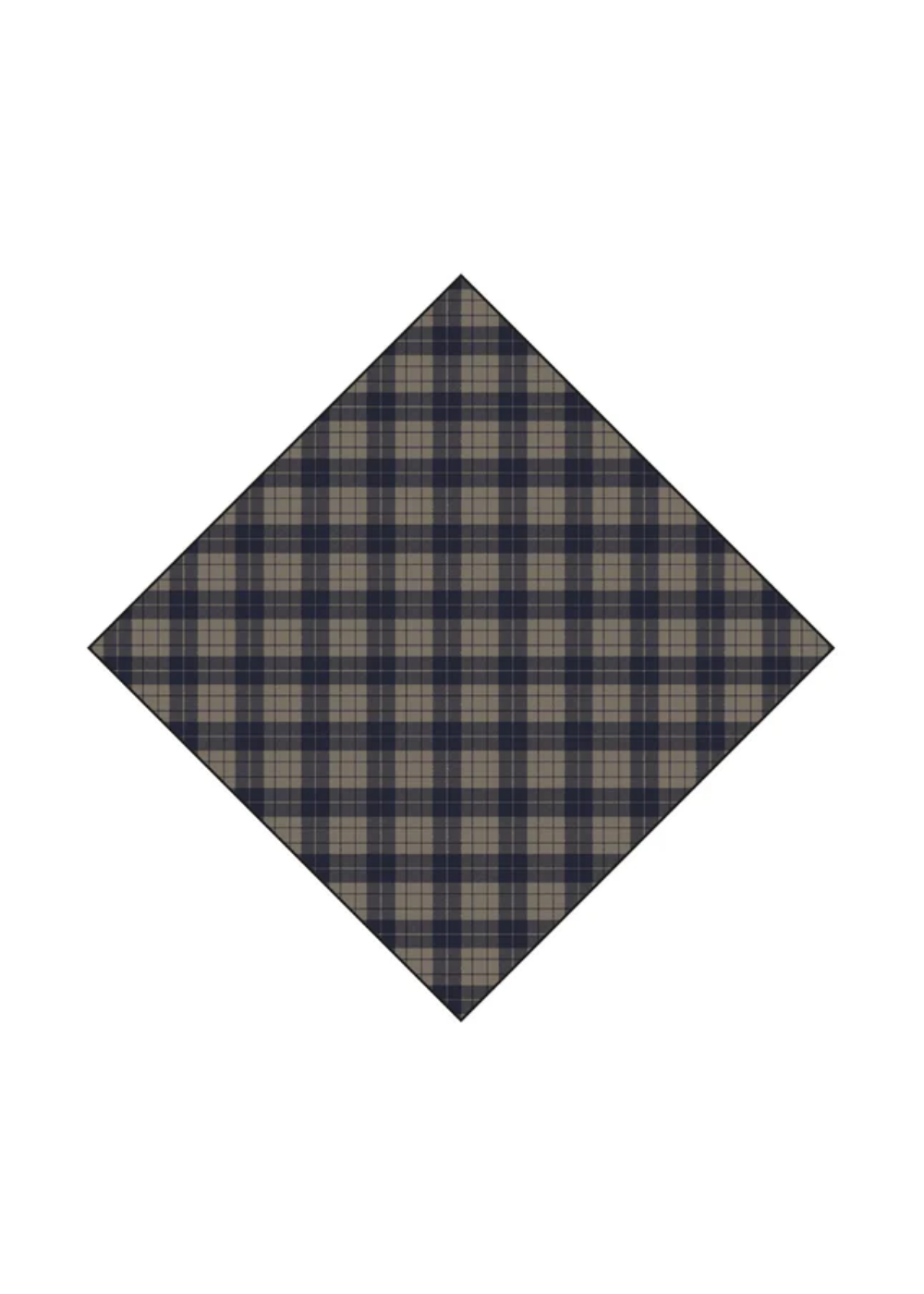 Robbie Scarf AW26 - Navy Check