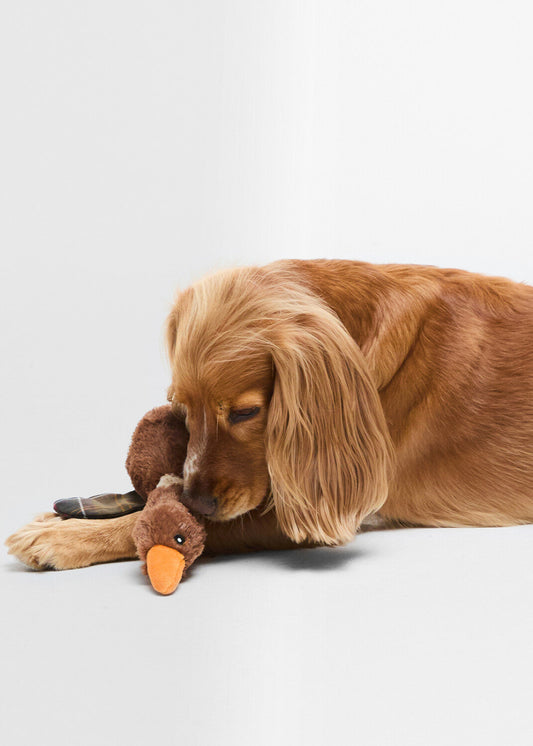 Flying Duck Dog Toy