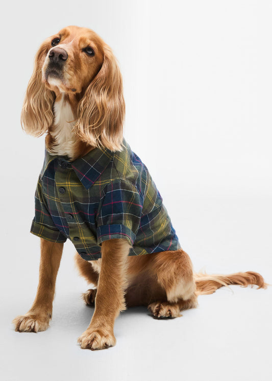 Tartan Fortrose Dog Shirt