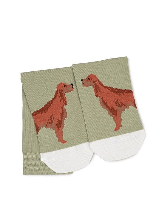 Radley & Friends Socks