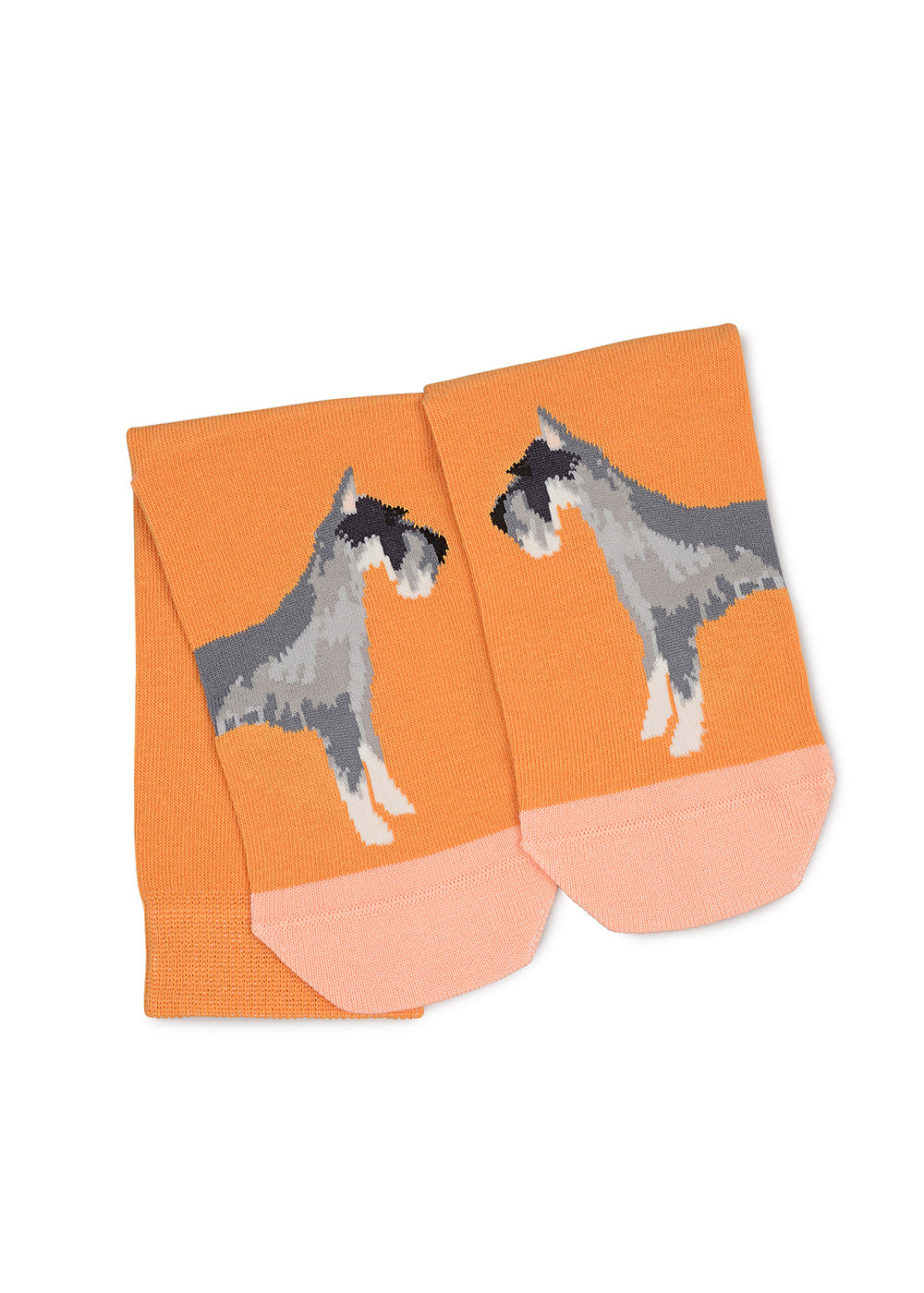 Radley & Friends Socks