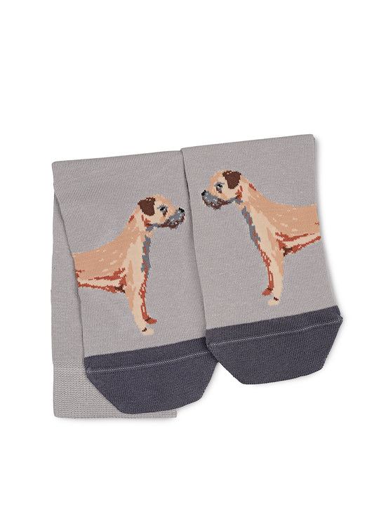 Radley & Friends Socks