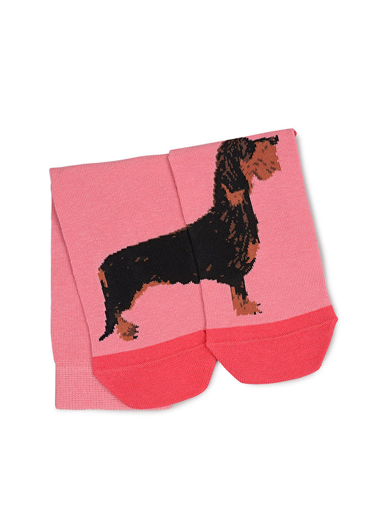 Radley & Friends Socks