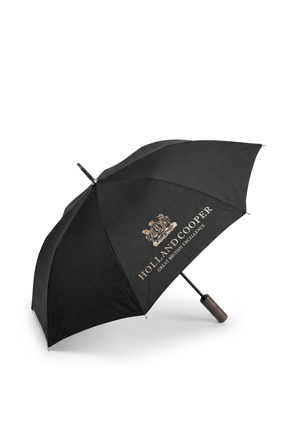Mini Umbrella