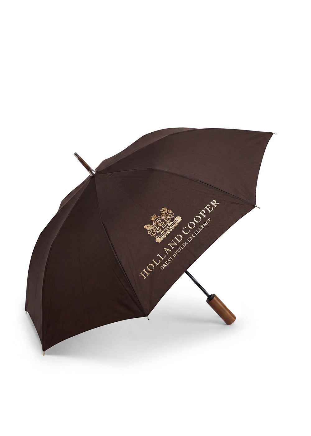 Mini Umbrella