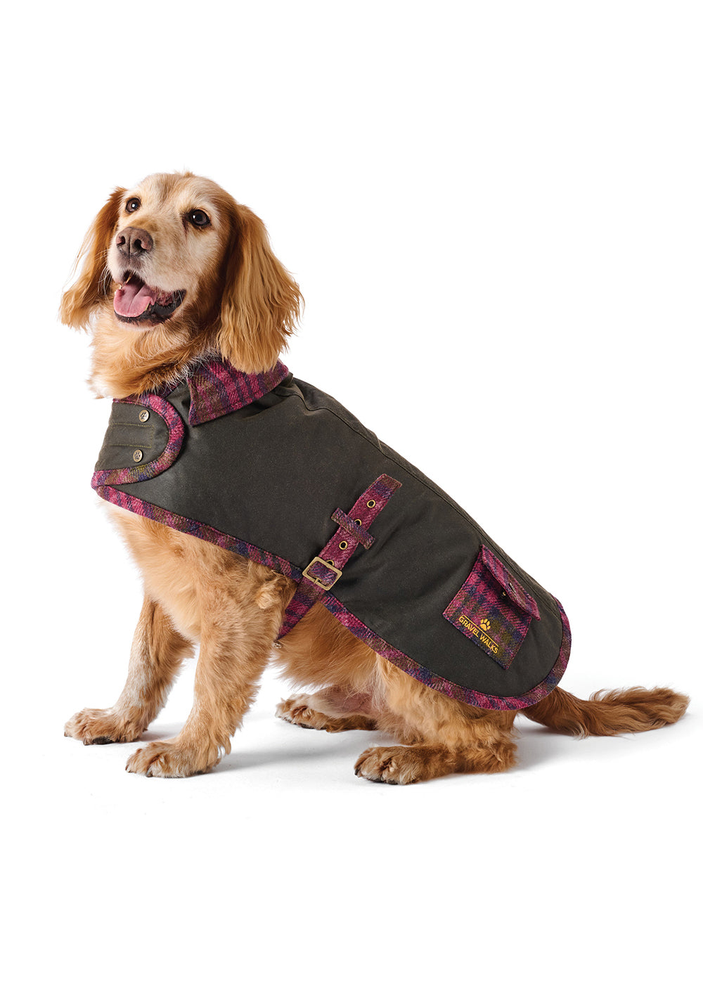 Bramble Dog Coat