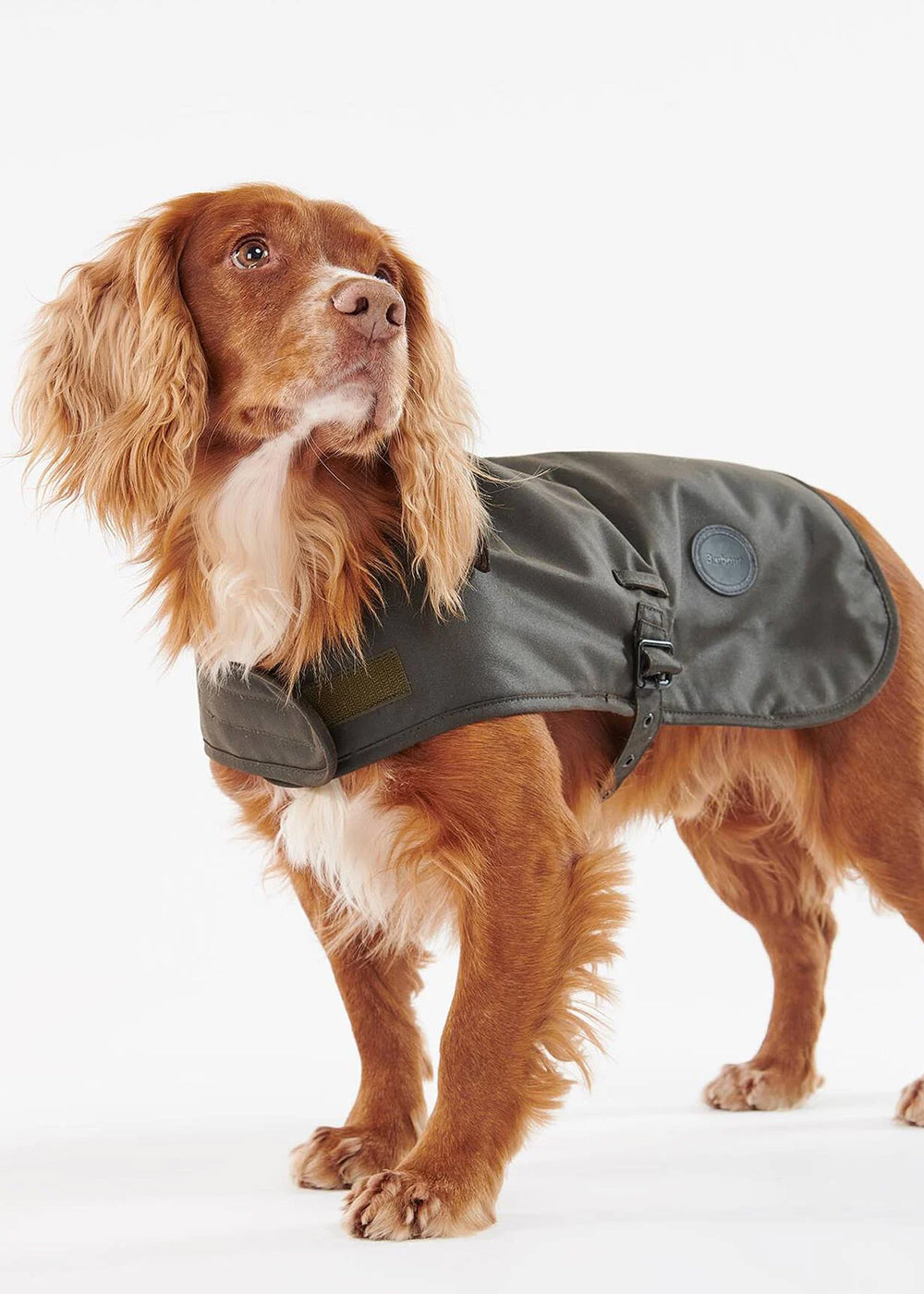 Wax Dog Coat