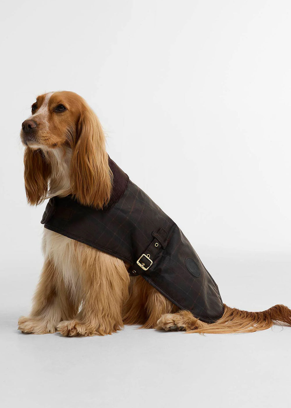 Tartan Wax Dog Coat
