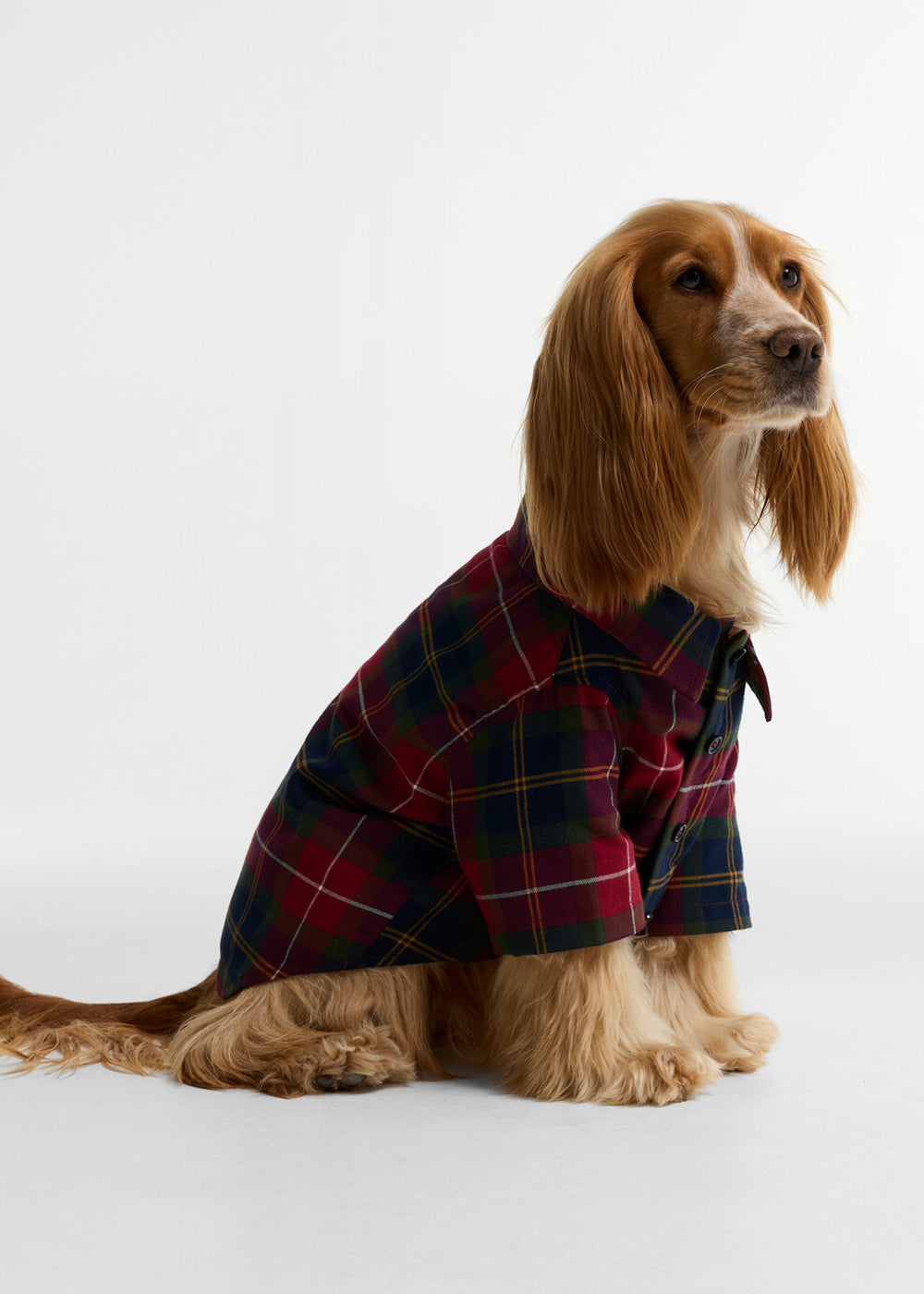 Tartan Fortrose Dog Shirt