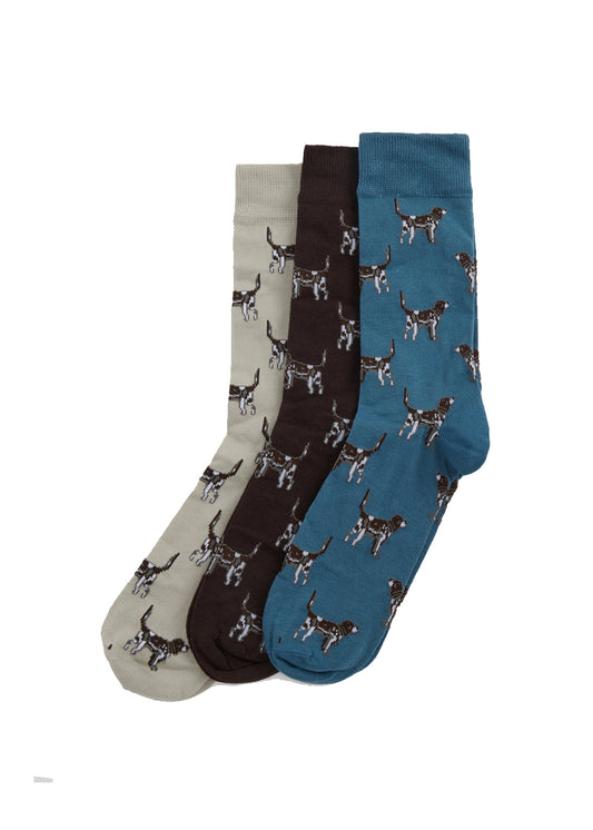 Pointer Socks Gift Box
