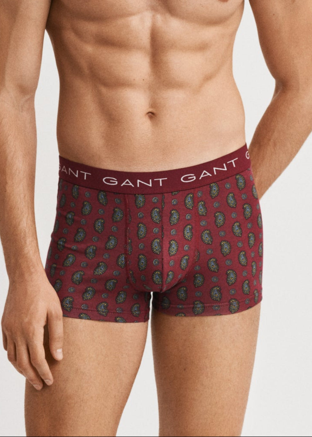 Paisley Print Trunks (3 Pack)