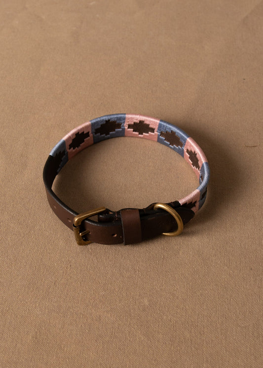 Branxholme Dog Collar