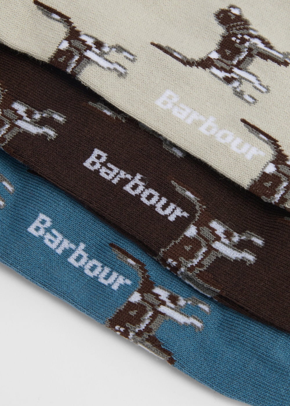Pointer Socks Gift Box