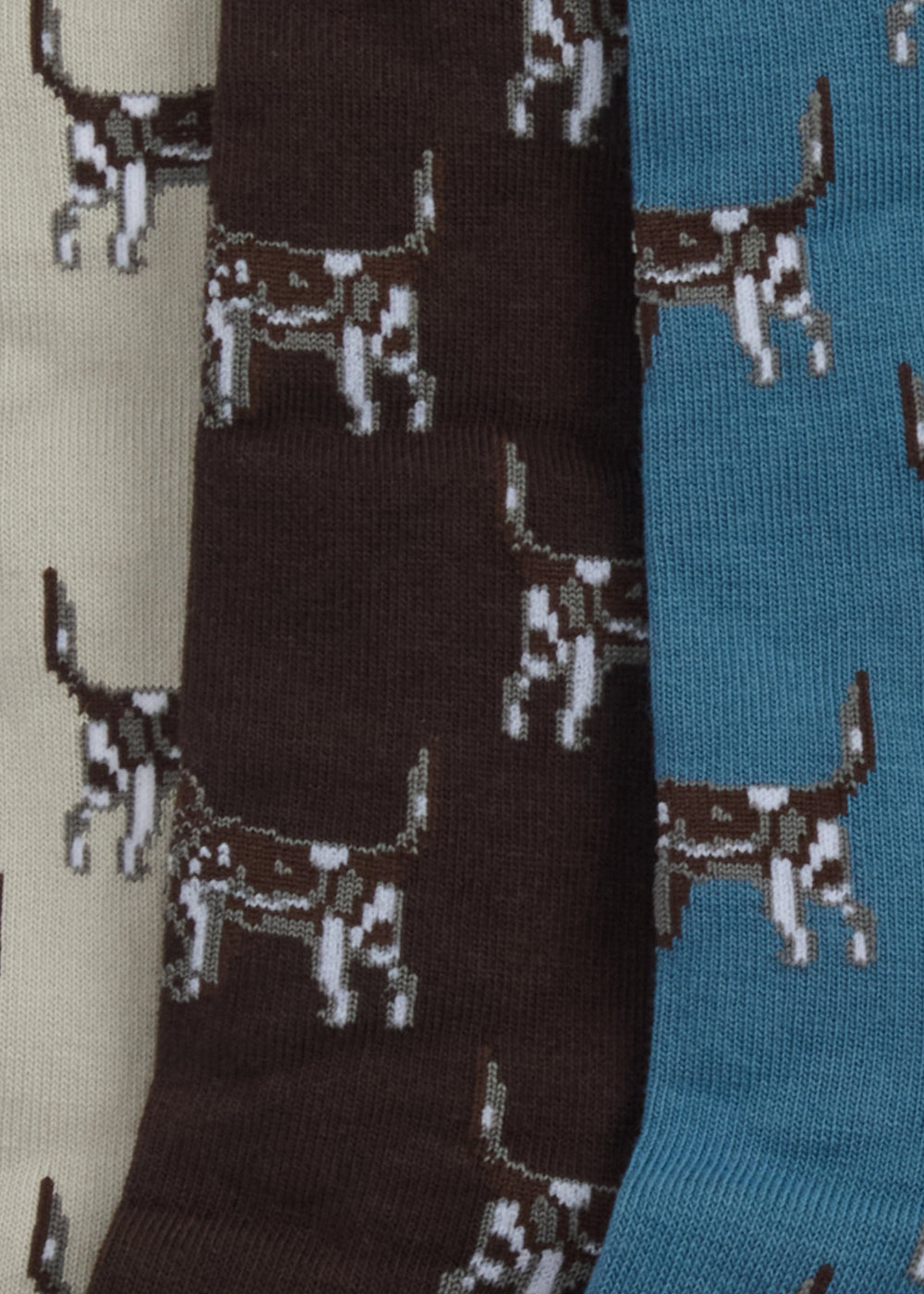 Pointer Socks Gift Box