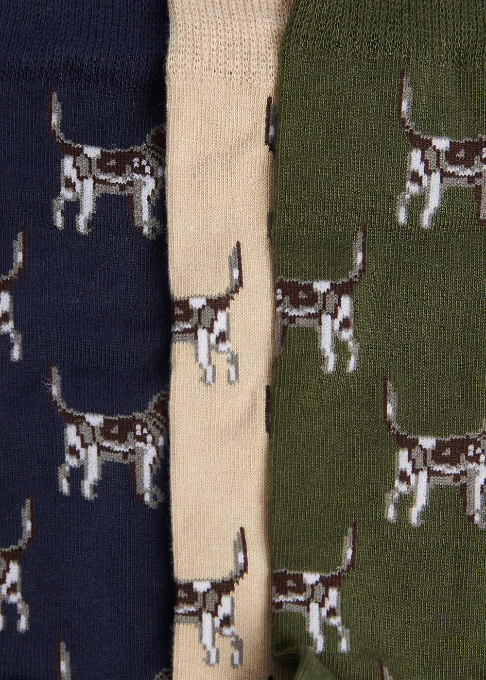 Pointer Socks Gift Box