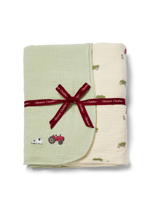 Swaddles (2 Pack)