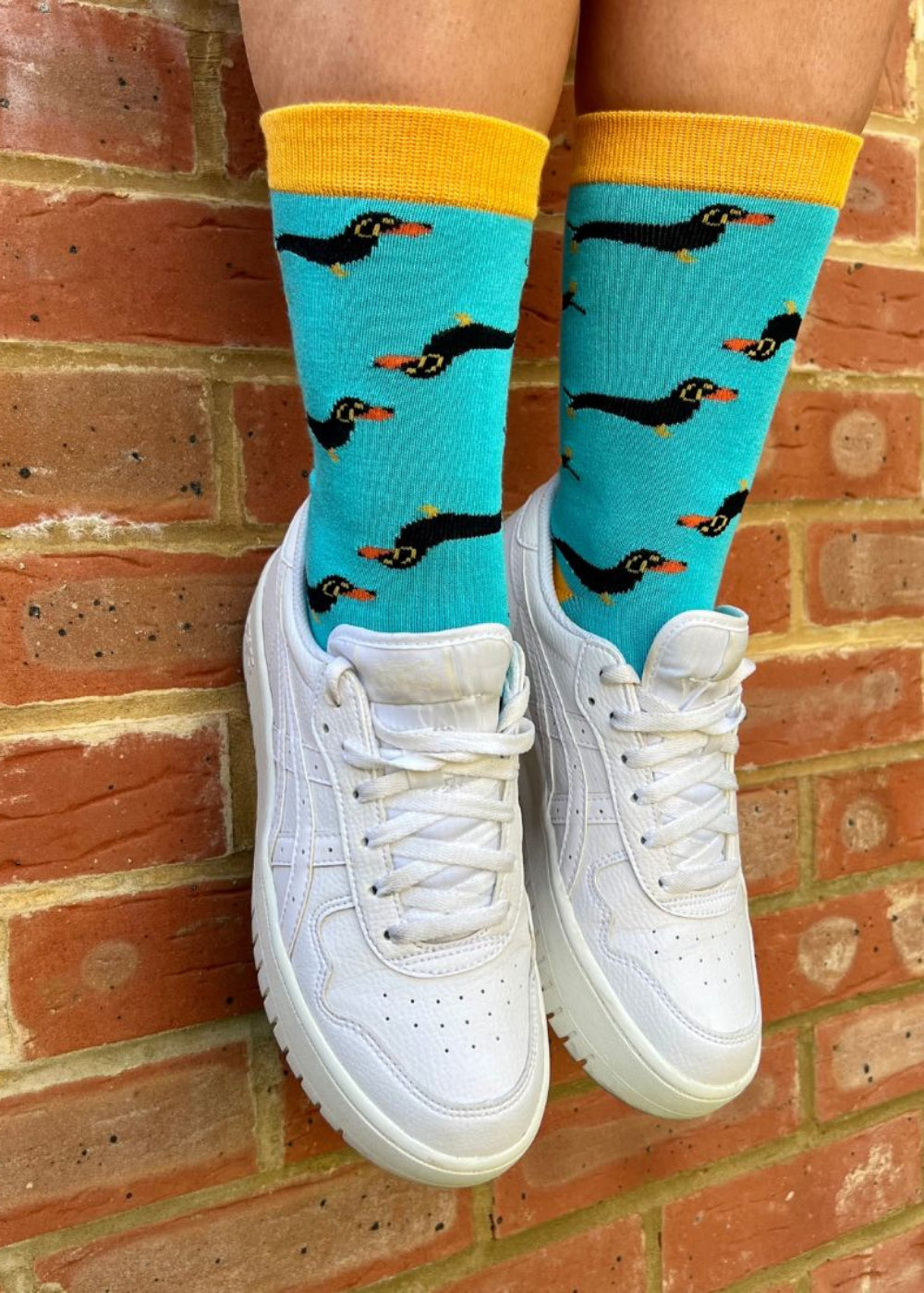 Sausage Dog Bamboo Socks