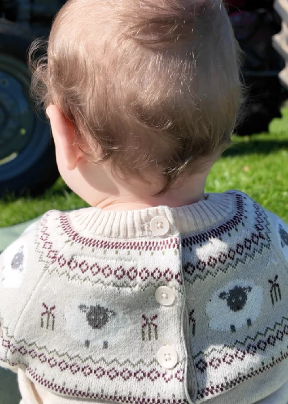 Sheep Jumper