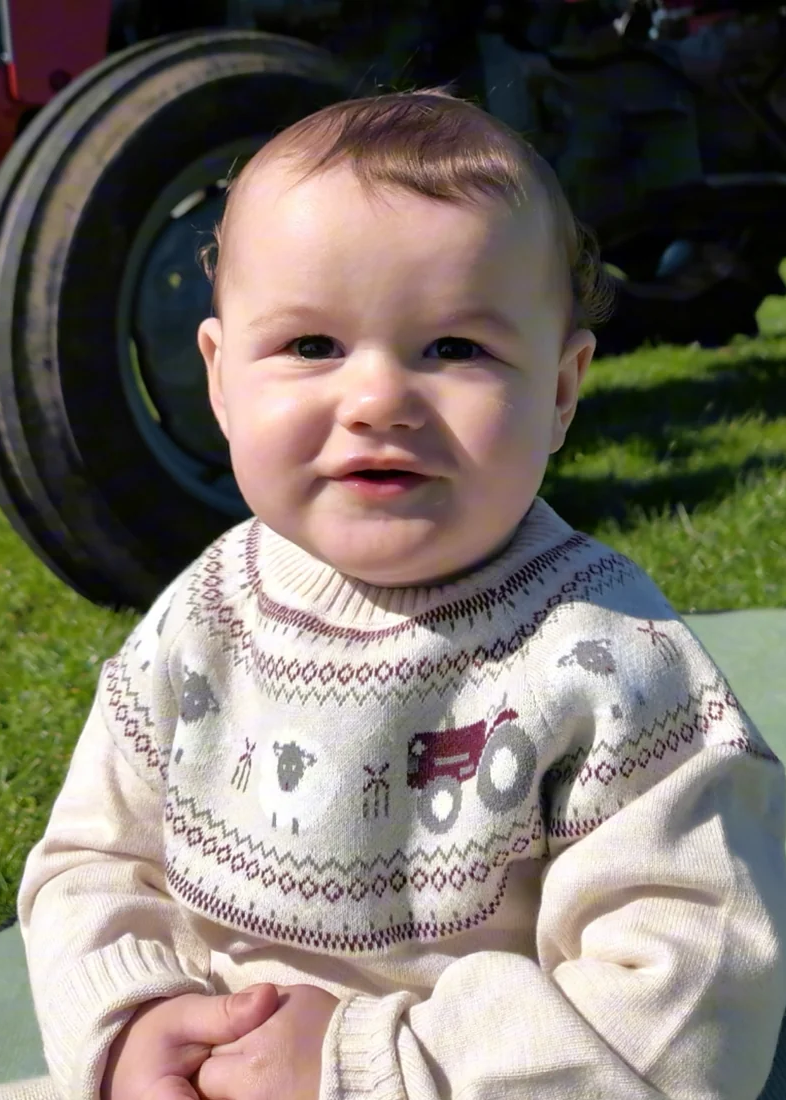 Sheep Jumper