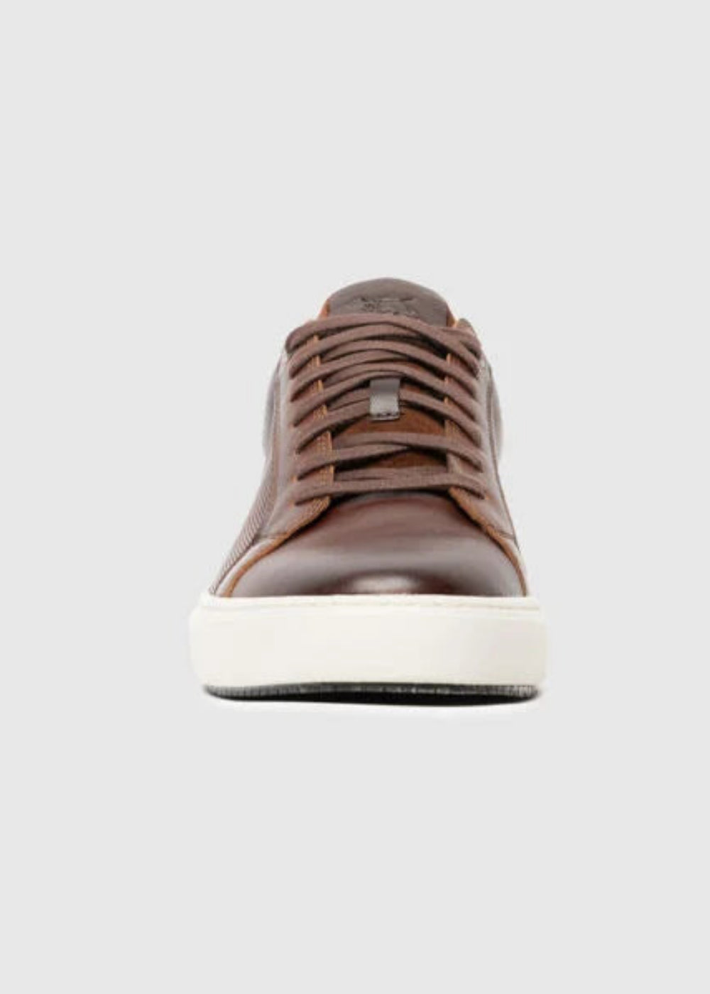 Transit Sneakers