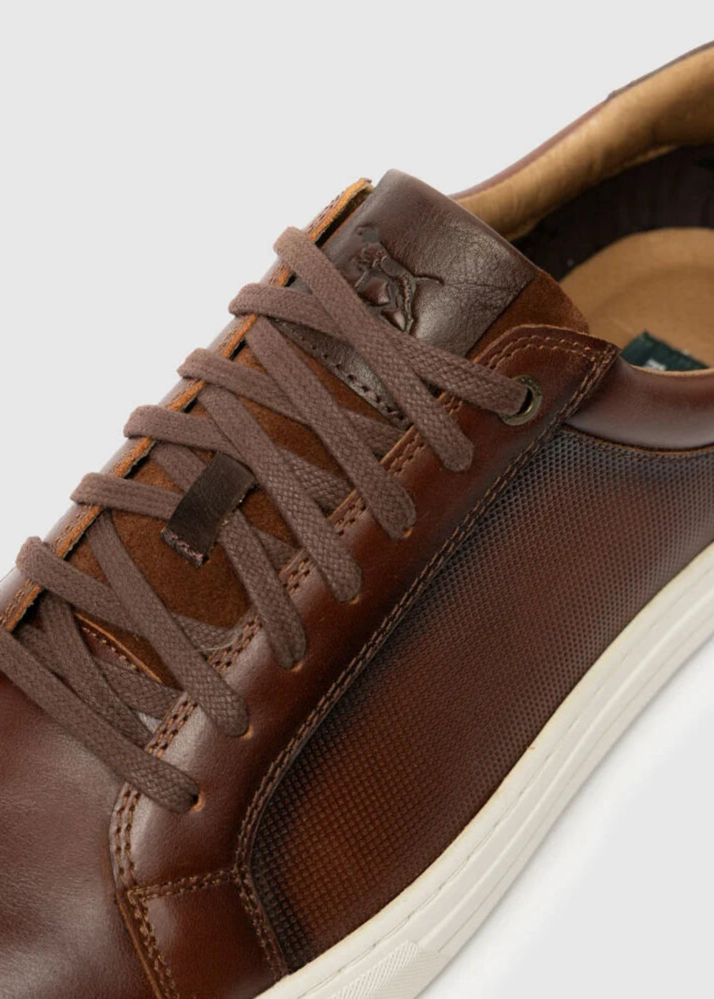 Transit Sneakers